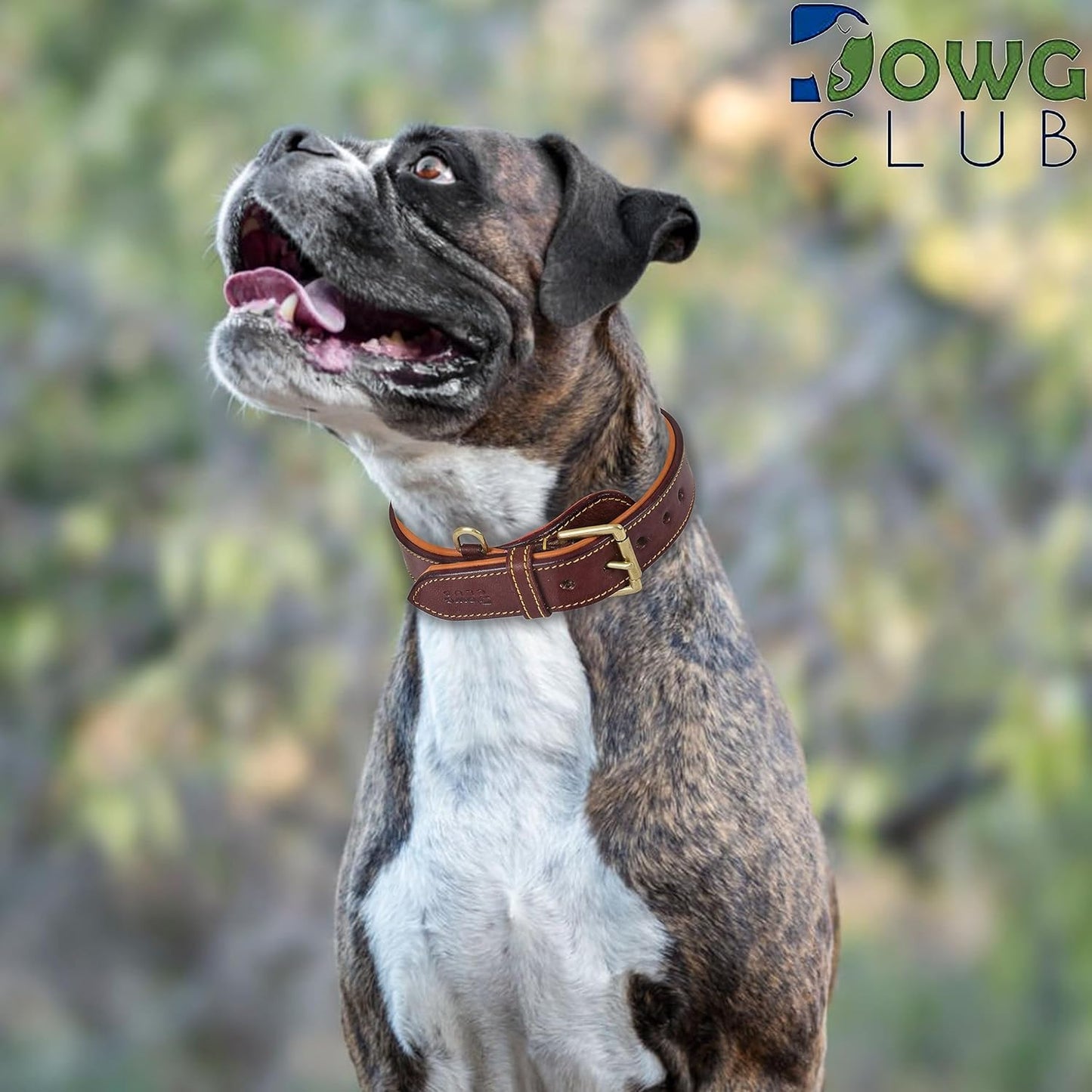 DowgClub | Genuine Leather Dog Collar | Full Grain, Heavy Duty | Comfortable, Strong | Best for Pups, Small, Medium & Large Breeds | Pink, Brown, Black, Tan