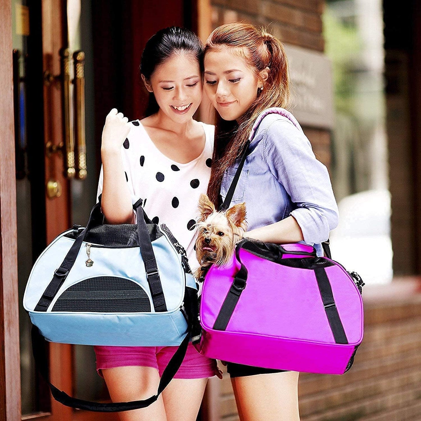 ZaneSun Cat Carrier,Soft-Sided Pet Travel Carrier for Cats,Dogs Puppy Comfort Portable Foldable Pet Bag Airline Approved (Small Rosered)