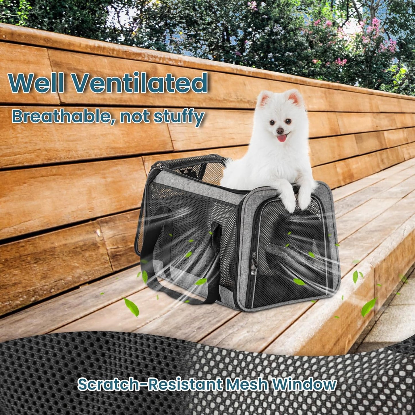 Petsfit Pet Carrier Airline Approved, Soft-Sided Cat Carrier with Patented Car Buckle, Lightweight and Collapsible with Adjustable Shoulder Strap, Soft Cushion,Green
