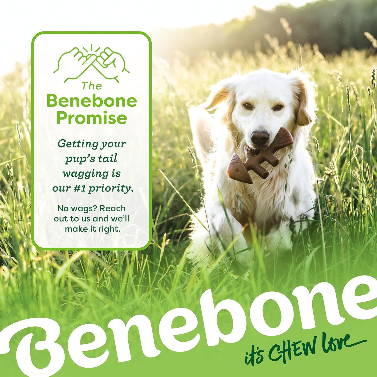 Benebone 4-Pack Durable Dog Chew Toys for Aggressive Chewers, Real Flavors, Made in USA, Medium