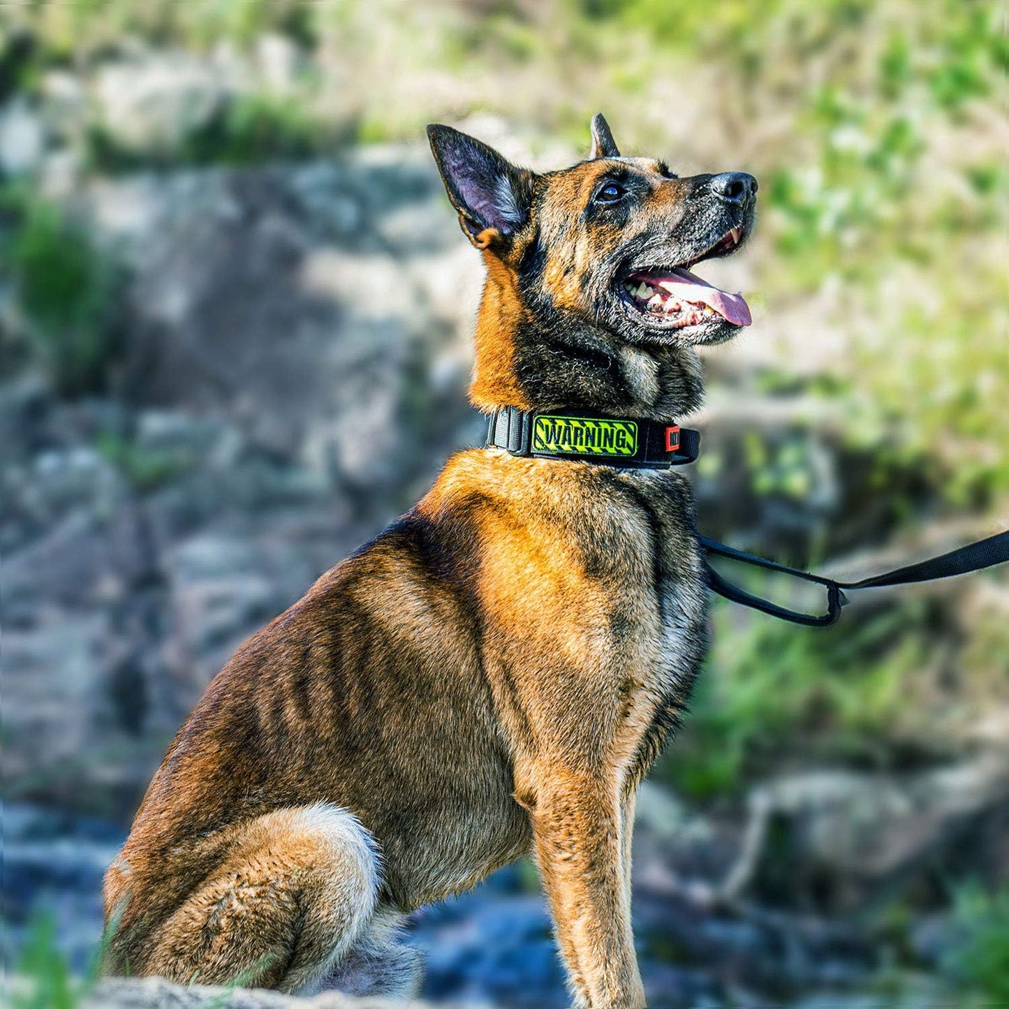 OneTigris Tactical Dog Collars with Handle,Military Dog Collar for Large Dog,Adjustable Nylon Collar German Shepherd Collar with Heavy Duty Metal Buckle for Dog Training and Walking (M, Orange)