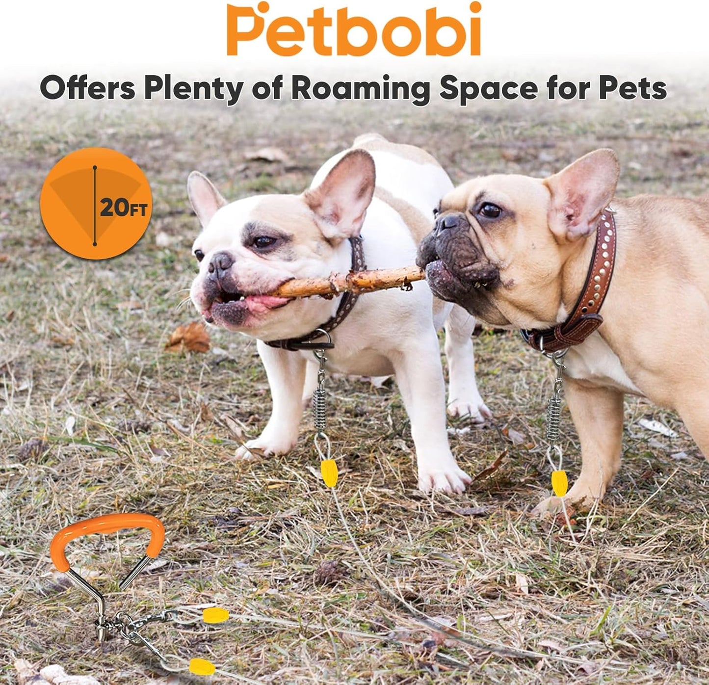 Petbobi Dog Tie-Out Cable and Stake - 30ft Heavy Duty Cable with Spring, No Tangle, 16in Ground Stake, Ideal for Yard, Camping and Beach, Suitable for Small Medium Large Dogs Up to 120 lbs, Blue