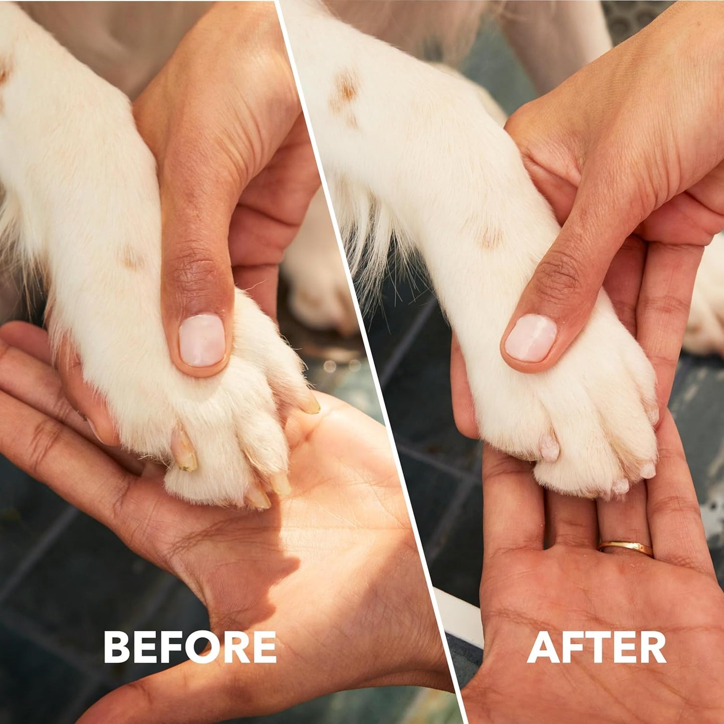 Dremel PawControl 7760-PET Dog Nail Grinder and Trimmer - Cordless & Rechargeable Pet Grooming Tool Kit - Safe for Dogs, Cats, and Small Animals