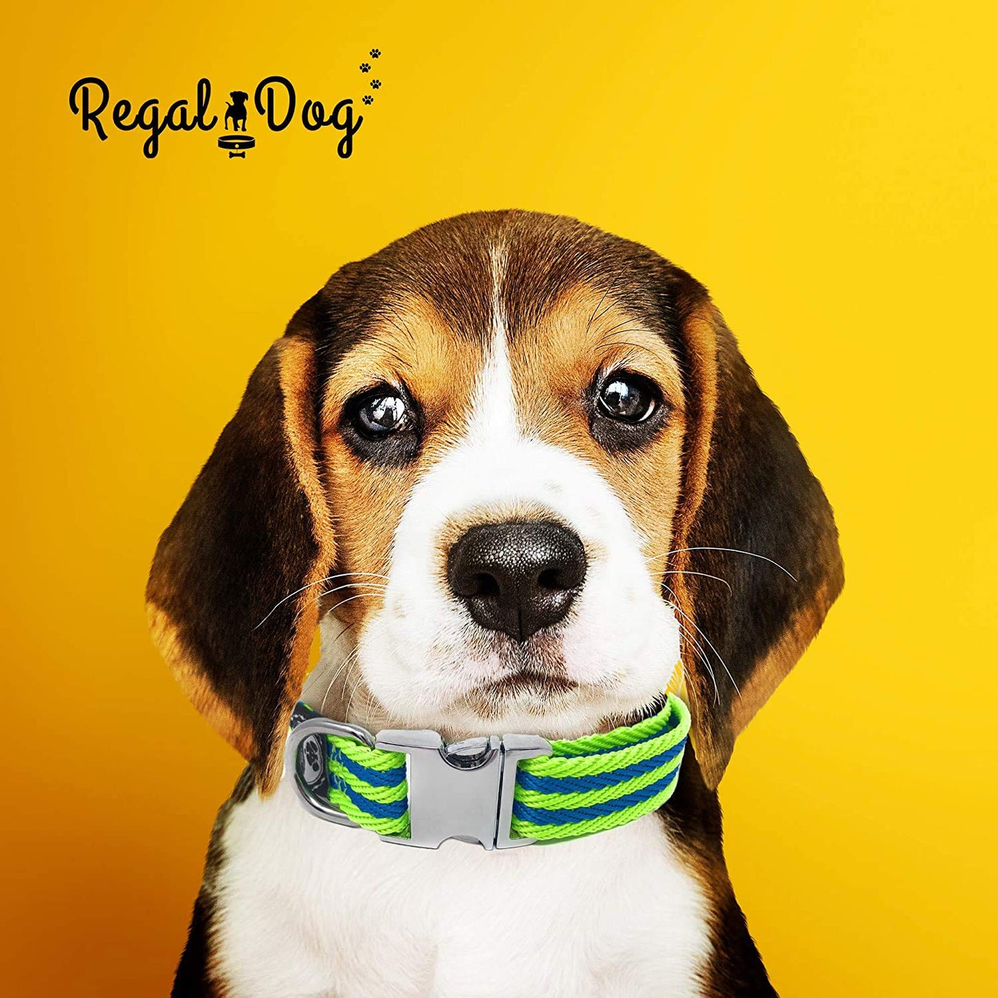 Regal Dog Products Pet Collar with Metal Buckle and D Ring | Durable Dog Collar with Reinforced Metal Clasp and Nylon Webbing Adjustable Dog Collar to fit for Large Dogs (Large, Blue/Gray Stripe)