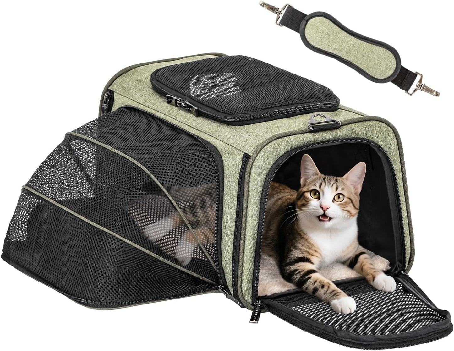 Petsfit Expandable Cat Dog Carrier Airline Approved, 17" L x 11" W x 11" H Soft-Sided Portable Pet Travel Carrier for Kitten, Puppy, Removable Soft Plush Mat and Pockets, Auto-Locking Zippers