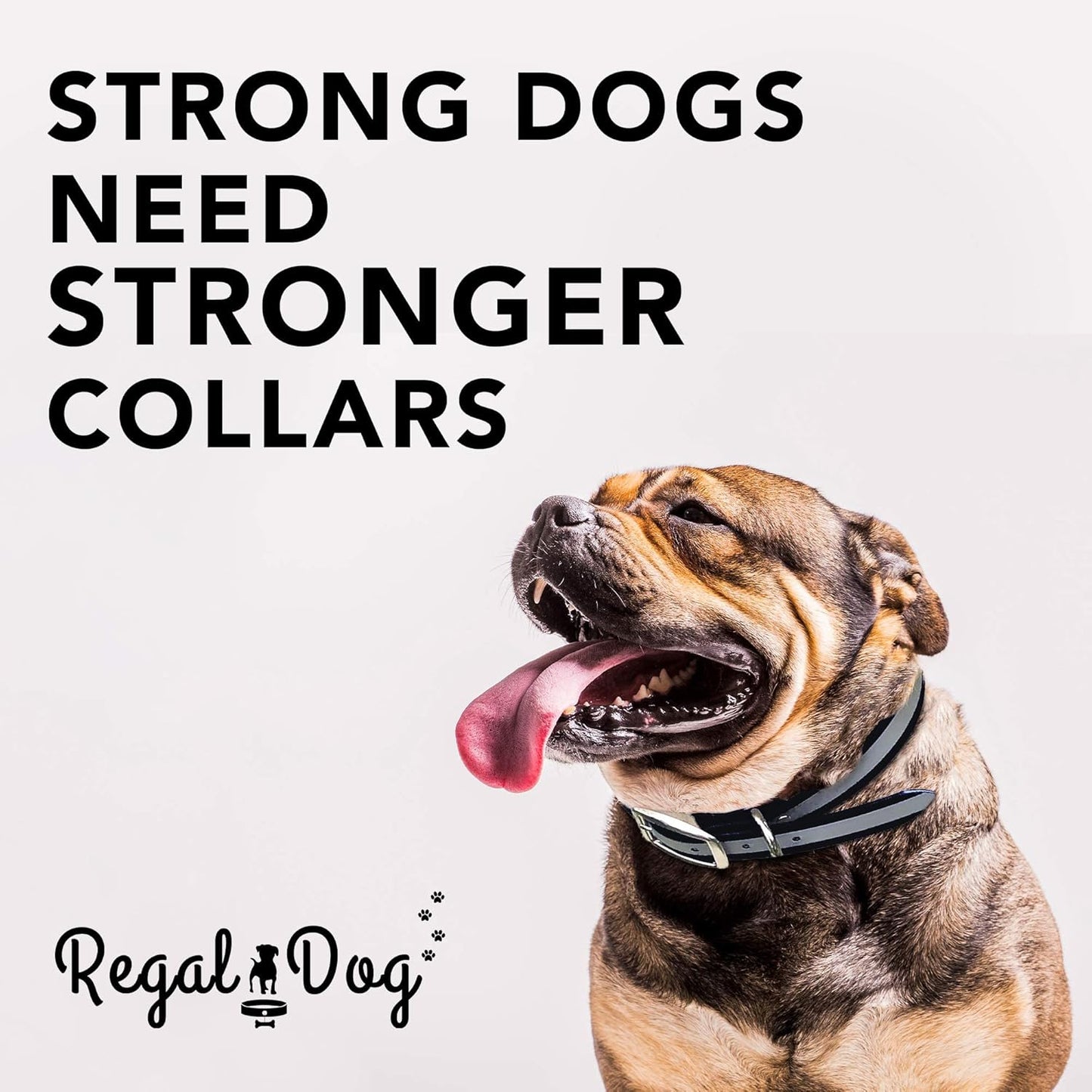 Regal Dog Products Large Pink Heavy Duty Reflective Dog Collar with Center Ring, Metal Buckle and D Ring | Anti-Odor Adjustable Biothane Waterproof Dog Collar | Other Sizes for Small & Medium Dogs