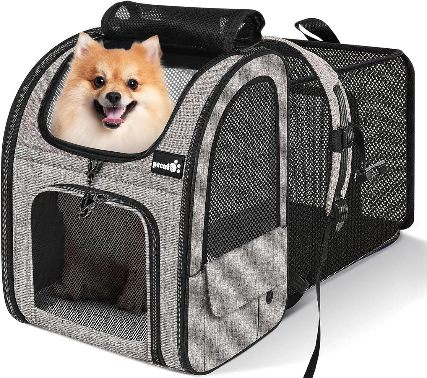 Pecute Pet Carrier Backpack, Dog Carrier Backpack Expandable with Breathable Mesh for Pets <6kg, Pet Backpack Carrier for Hiking Travel Camping Outdoor