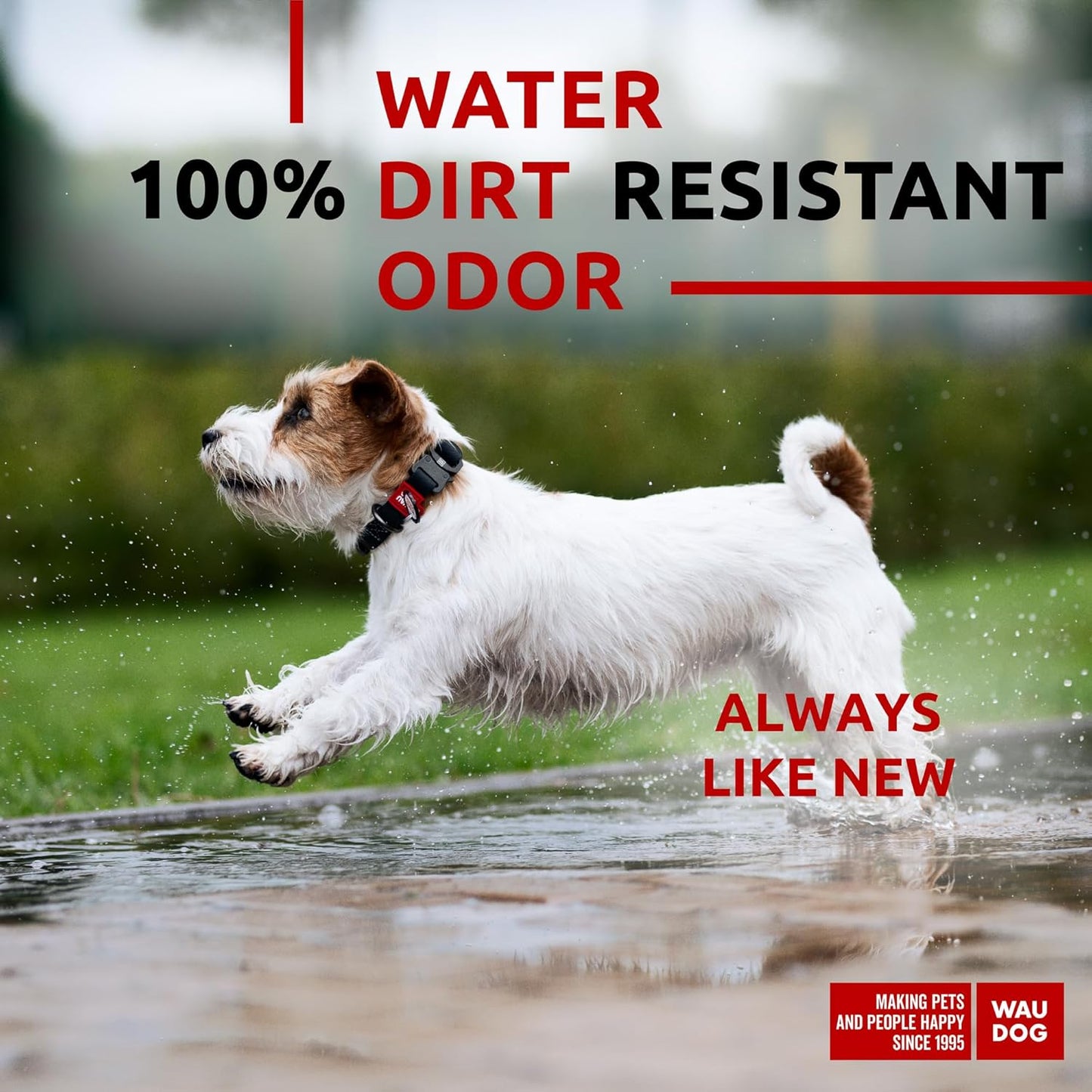 Waterproof Dog Collar - Adjustable Glow Dog Collar for Large Dogs, Small and Medium Dogs - Heavy Duty Dog Collars with Durable Metal Clasp and QR Dog Tag - Glow in The Dark Dog Collars