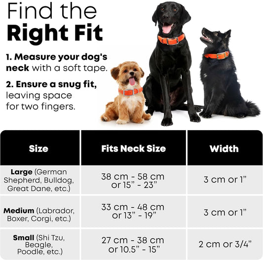 Regal Dog Products Small Orange Waterproof Hunting Dog Collar with Heavy Duty Black Hardware Buckle & D Ring | Custom Fit Vinyl-Coated Webbing Water Resistant Collar for Small, Medium & Large Dogs - PuriLite