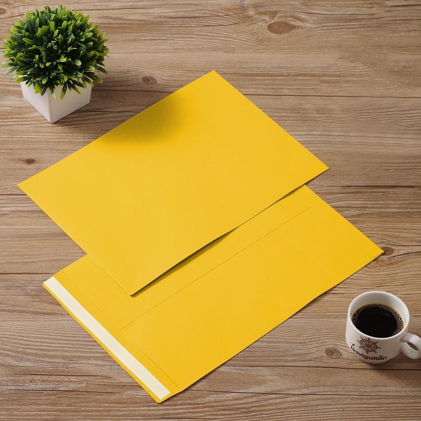 Tanshuqin 9" x 12.75" Self-Seal Catalog Envelopes 32lb Kraft Envelopes for Invitation Cards, Organizing and Storage, Pictures, Photos, Documents (100 PCS)