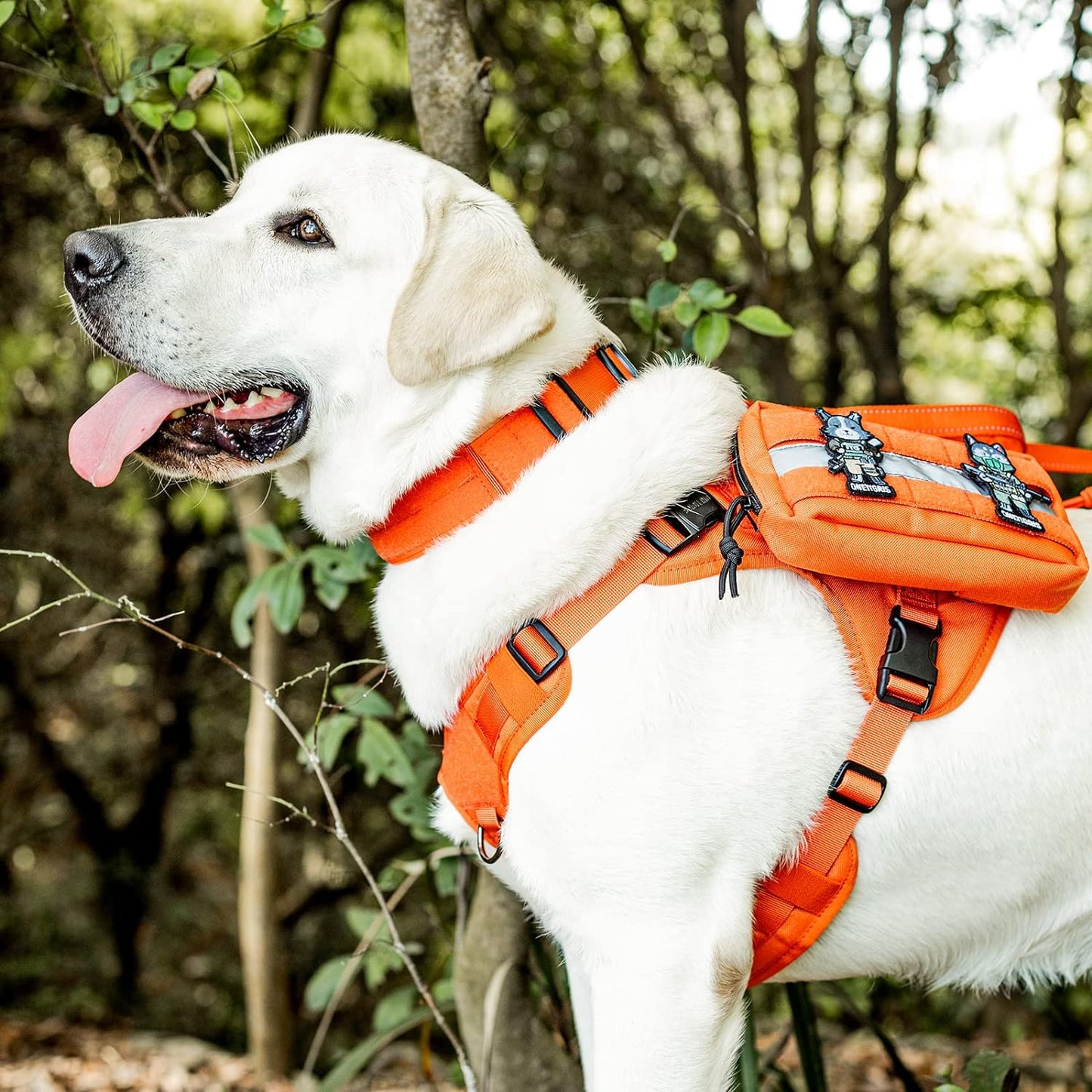 OneTigris Tactical Dog Collars with Handle,Military Dog Collar for Large Dog,Adjustable Nylon Collar German Shepherd Collar with Heavy Duty Metal Buckle for Dog Training and Walking (M, Orange)