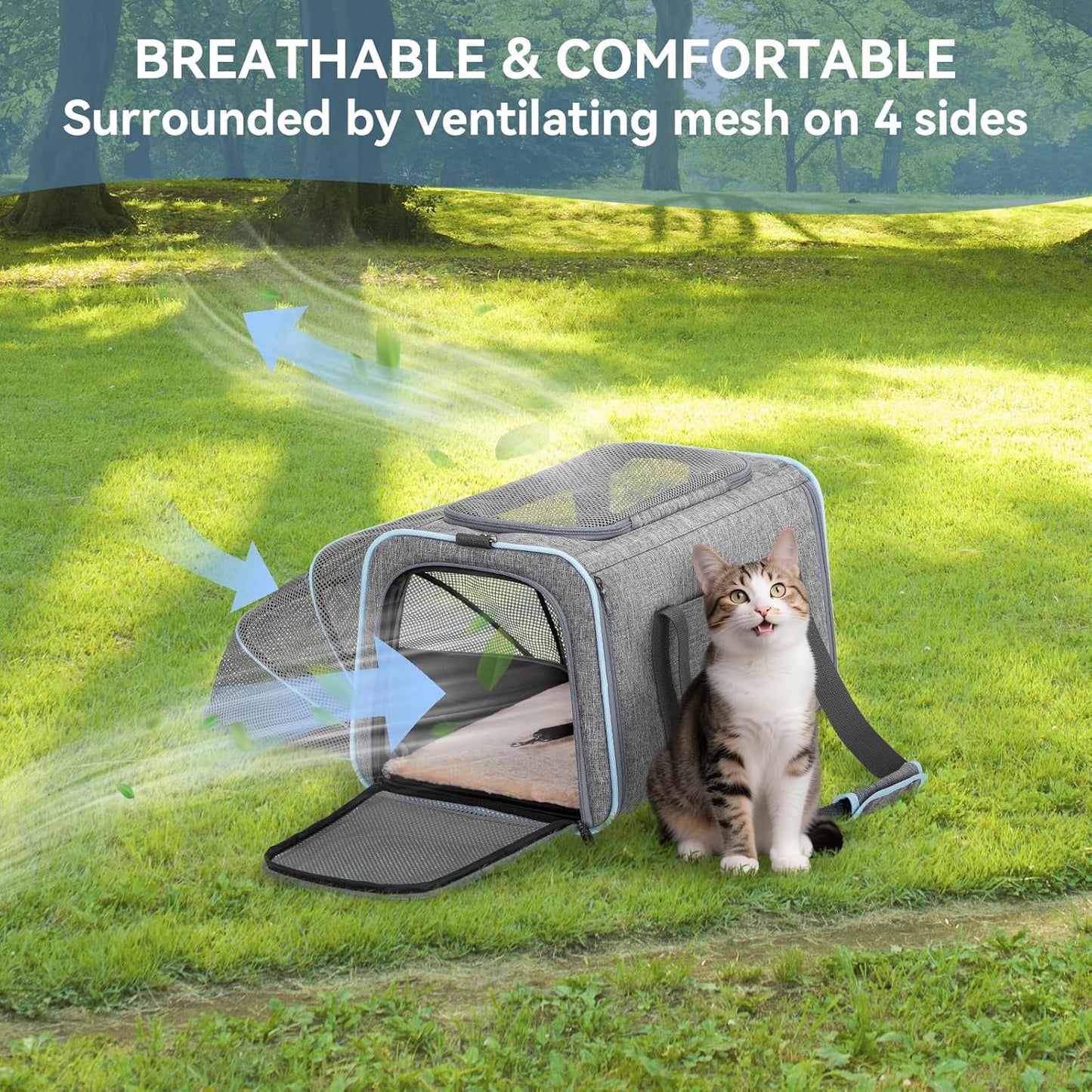 Petsfit Expandable Cat Dog Carrier Airline Approved, 17" L x 11" W x 11" H Soft-Sided Portable Pet Travel Carrier for Kitten, Puppy, Removable Soft Plush Mat and Pockets, Auto-Locking Zippers