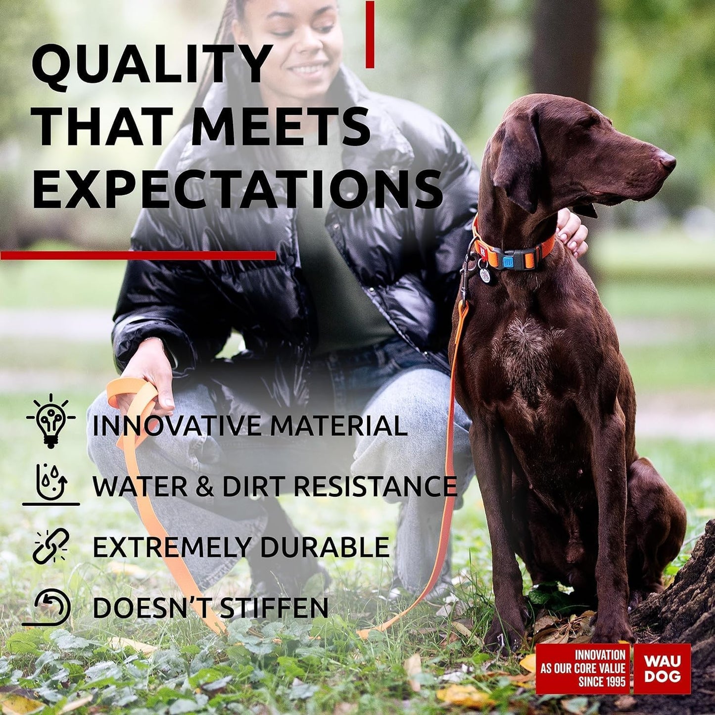 Waterproof Dog Collar - Adjustable Glow Dog Collar for Large Dogs, Small and Medium Dogs - Heavy Duty Dog Collars with Durable Metal Clasp and QR Dog Tag - Glow in The Dark Dog Collars