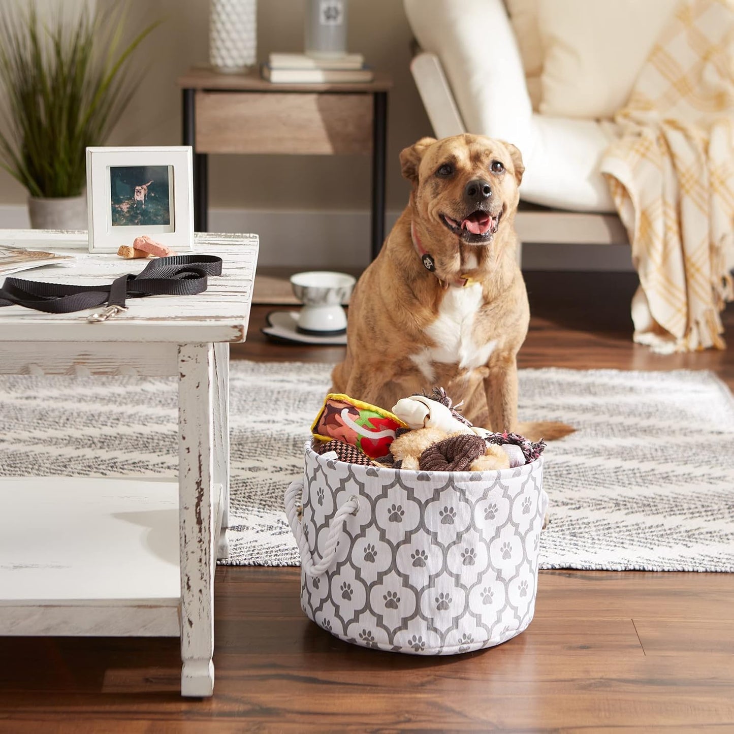 DII Bone Dry RoundSmall Pet Toy and Accessory Storage Bin, 12"(Dia) x9(H), Collapsible Organizer Storage Basket for Home Decor, Pet Toy, Blankets, Leashes and Food-Gray Stripes