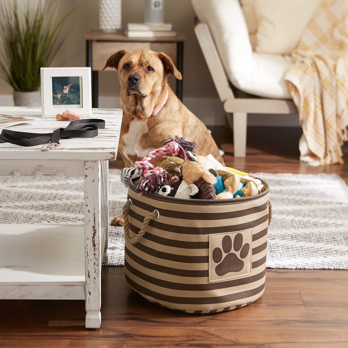 DII Bone Dry RoundSmall Pet Toy and Accessory Storage Bin, 12"(Dia) x9(H), Collapsible Organizer Storage Basket for Home Decor, Pet Toy, Blankets, Leashes and Food-Gray Stripes