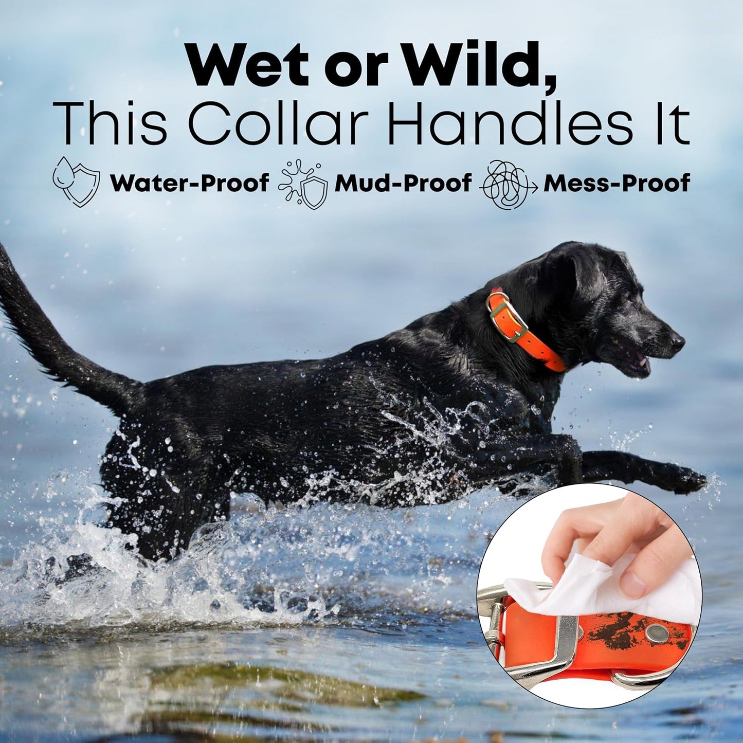 Regal Dog Products Medium Yellow Waterproof Dog Collar with Heavy Duty Double Buckle & D Ring | Vinyl Coated, Custom Fit, Adjustable Biothane Dog Collar | Chew Resistant Waterproof Collar for Dogs