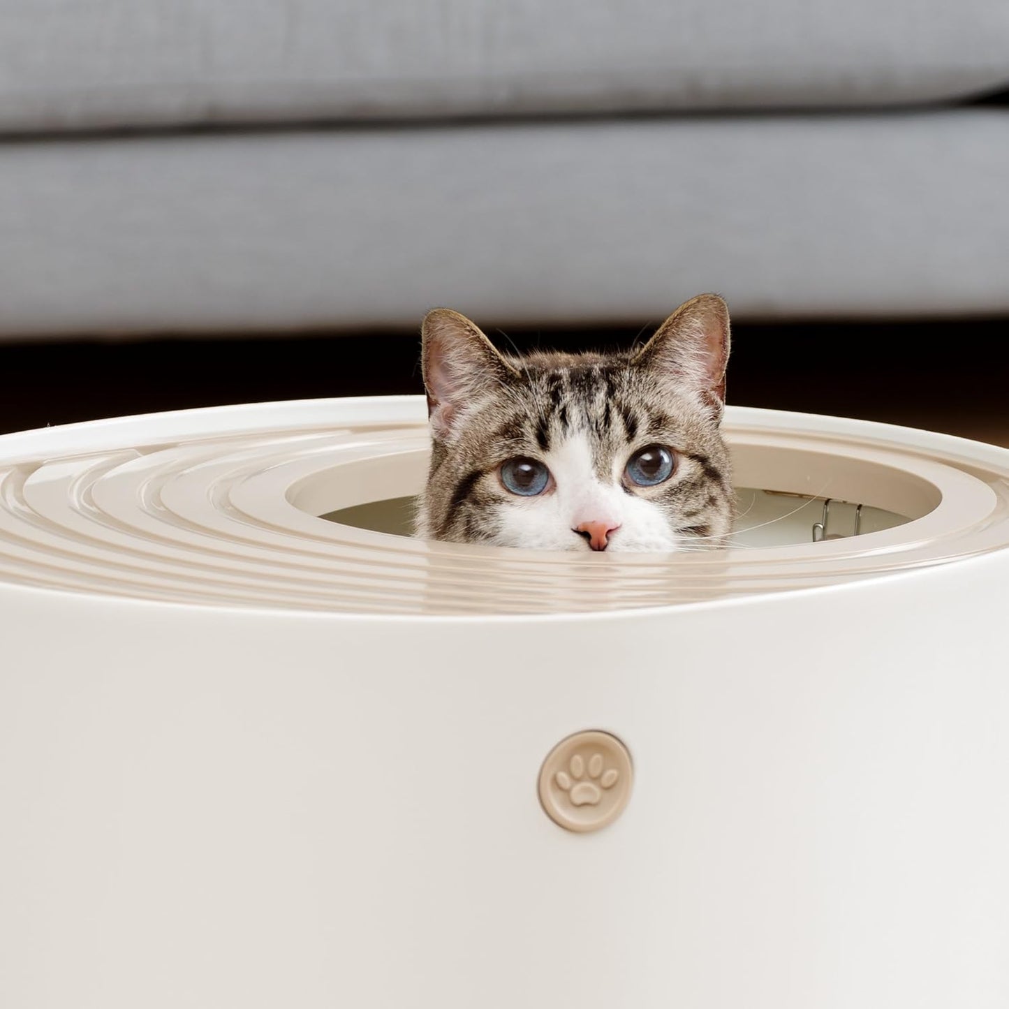 IRIS USA Top Entry Cat Litter Box with Scoop - Large - Stylish Enclosed Round Oval Kitty Dog Proof Box, Litiere Pour Chat Bac - White/Beige - PuriLite