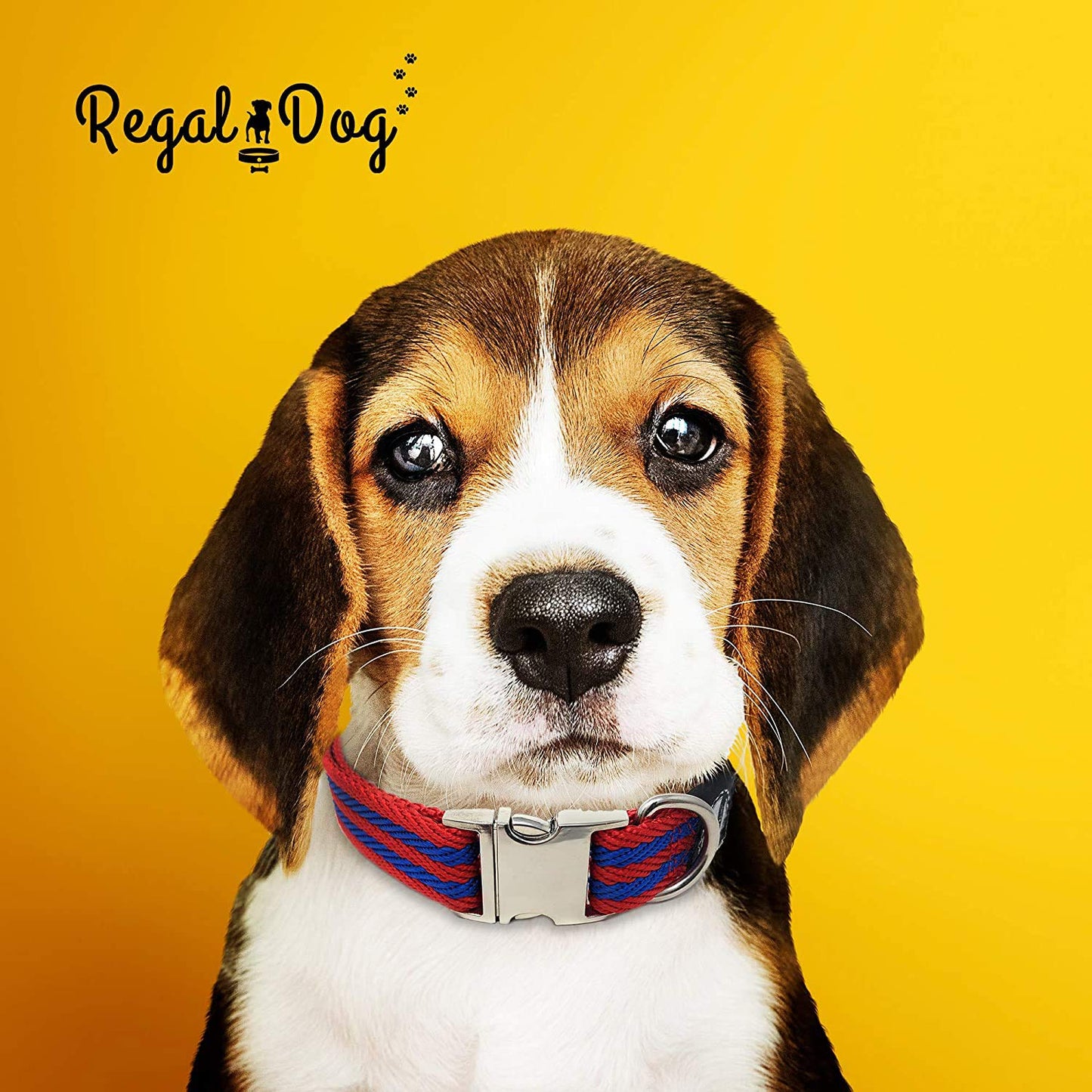 Regal Dog Products Pet Collar with Metal Buckle and D Ring | Durable Dog Collar with Reinforced Metal Clasp and Nylon Webbing Adjustable Dog Collar to fit for Large Dogs (Large, Blue/Gray Stripe)