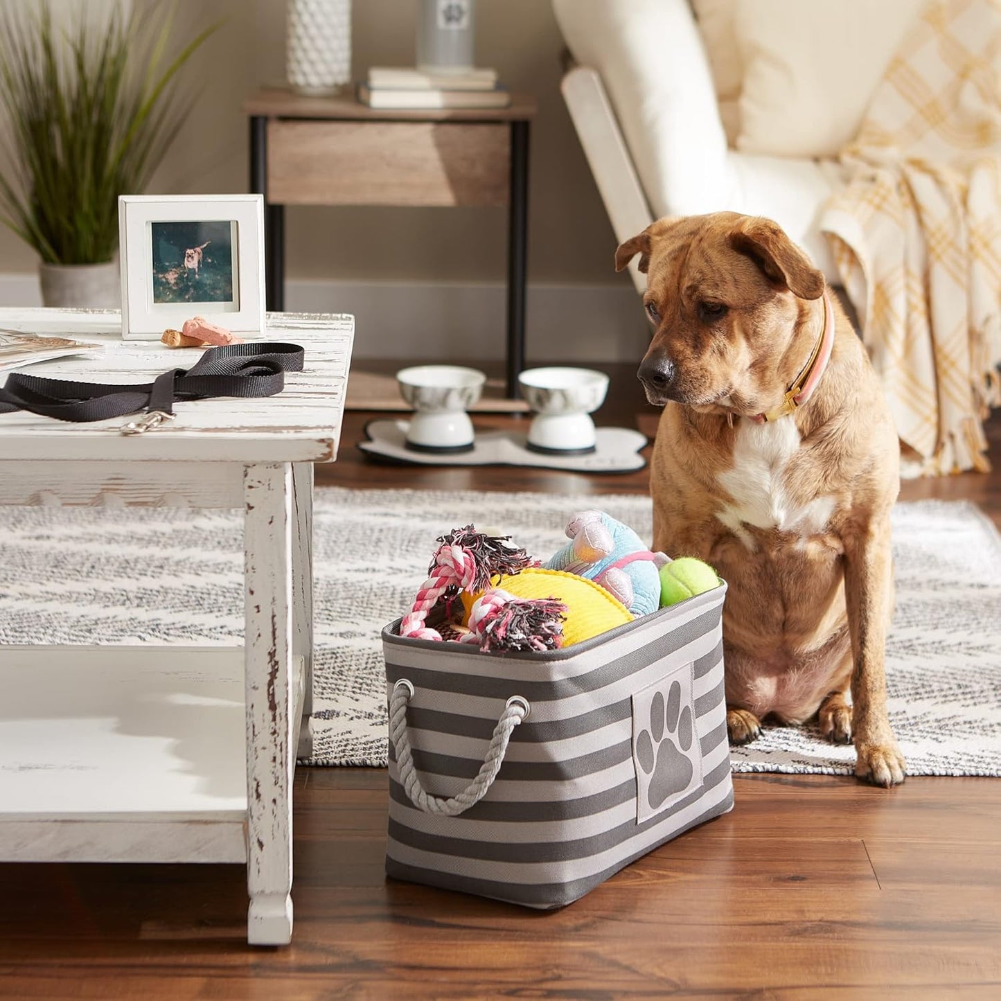 DII Bone Dry RoundSmall Pet Toy and Accessory Storage Bin, 12"(Dia) x9(H), Collapsible Organizer Storage Basket for Home Decor, Pet Toy, Blankets, Leashes and Food-Gray Stripes