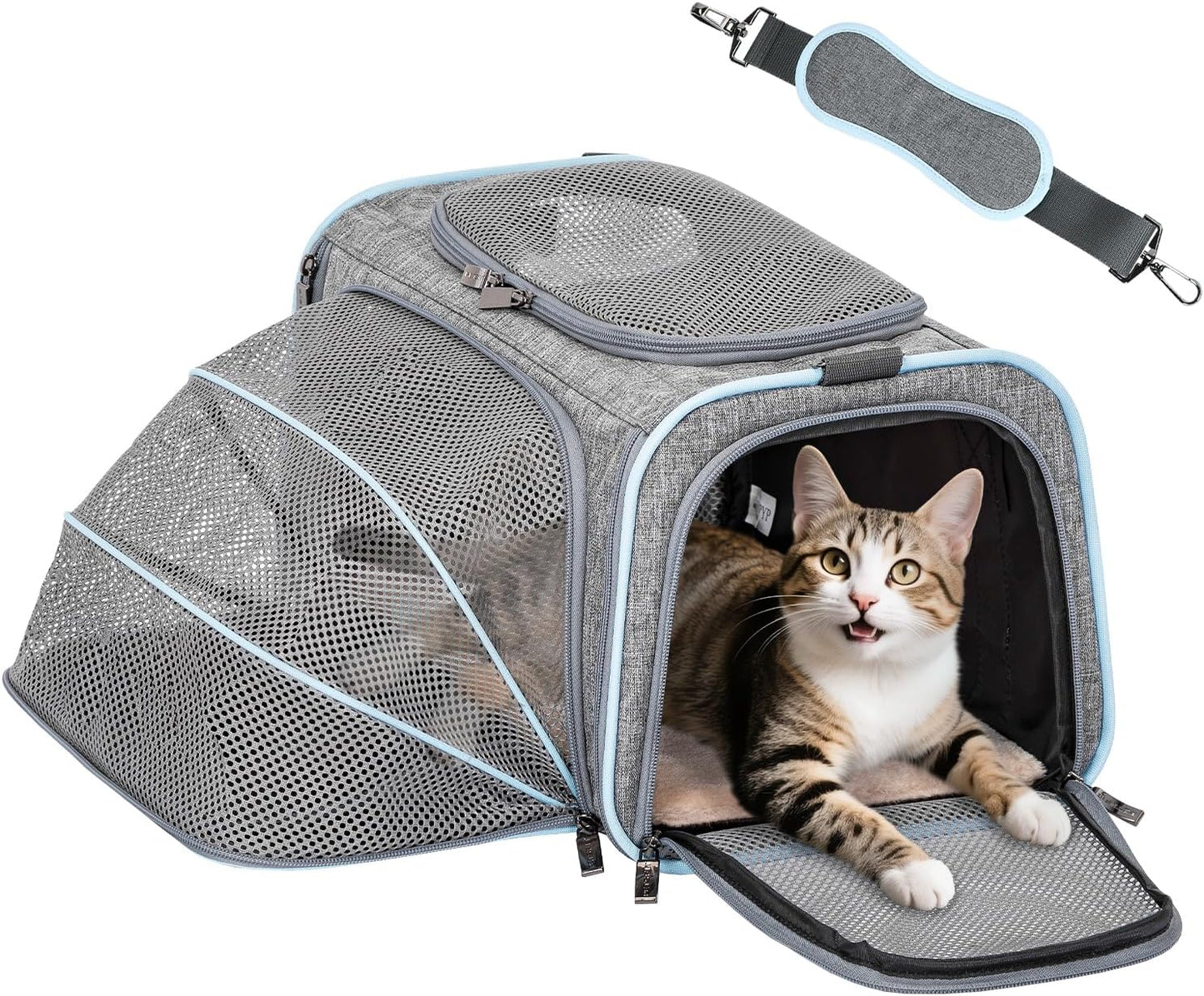 Petsfit Expandable Cat Dog Carrier Airline Approved, 17" L x 11" W x 11" H Soft-Sided Portable Pet Travel Carrier for Kitten, Puppy, Removable Soft Plush Mat and Pockets, Auto-Locking Zippers