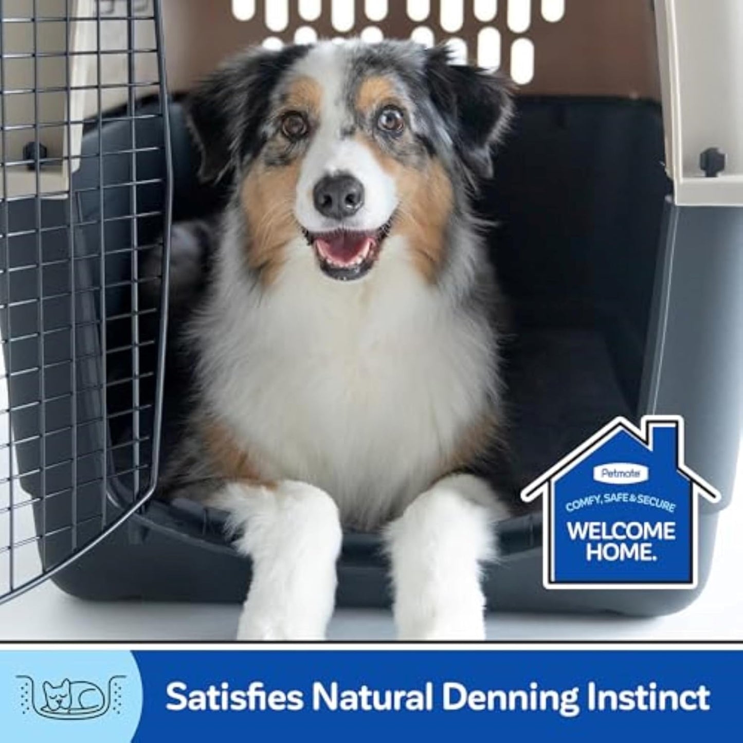 Petmate 00200 Sky Kennel for Pets from 25 to 30-Pound, Light Gray