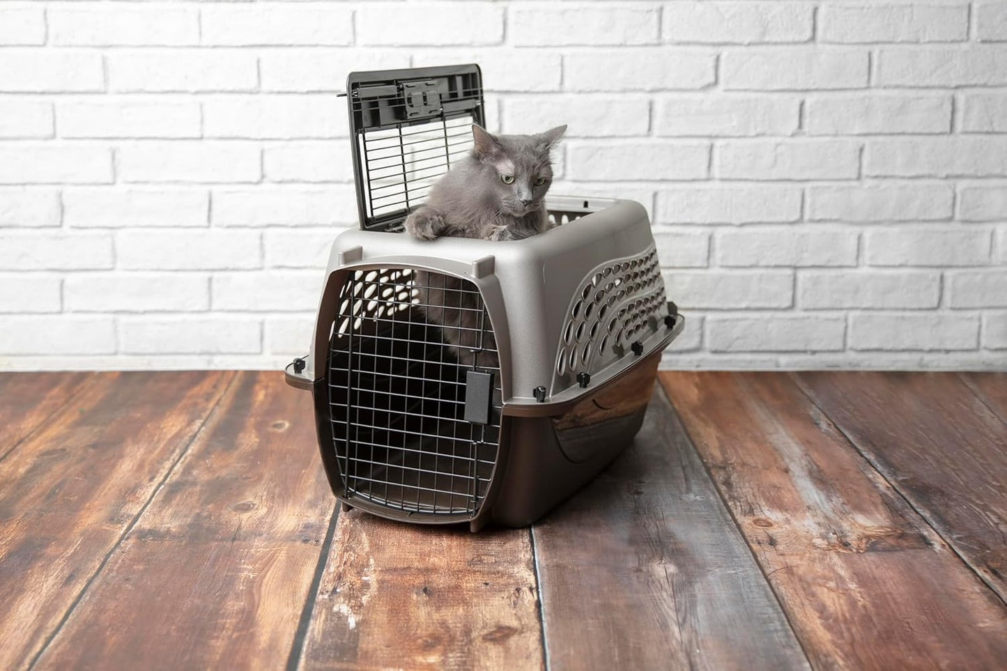 Petmate Two-Door Small Dog Kennel & Cat Kennel (Top Loading or Front Loading Pet Carrier, Great for Small Animals, Made with Recycled Materials, 24 inches in Length) For Pets up to 15 Pounds