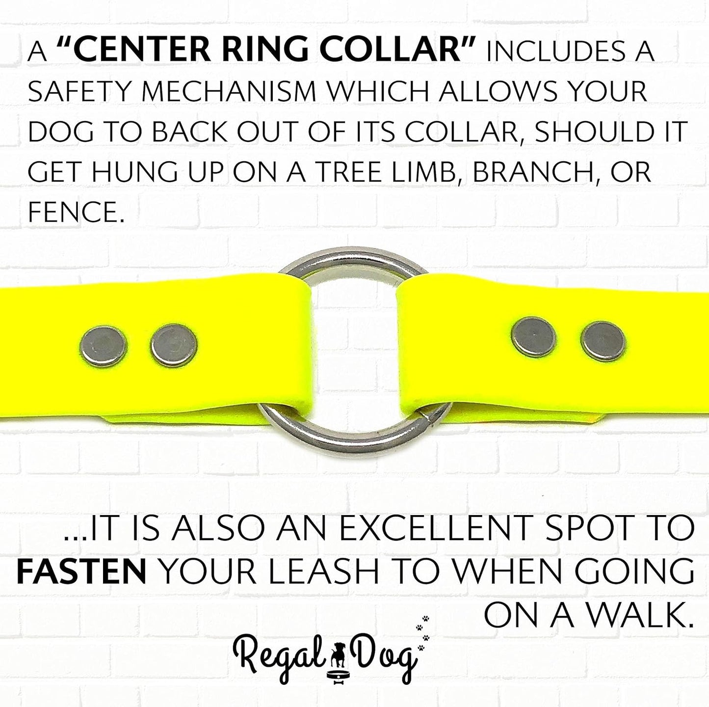 Regal Dog Products Medium Orange Dog Collar with Heavy Duty Double Buckle & D Ring | Vinyl Coated, Custom Fit, Adjustable Biothane Dog Collar Chew Resistant Waterproof Center-Ring Collar for Dogs
