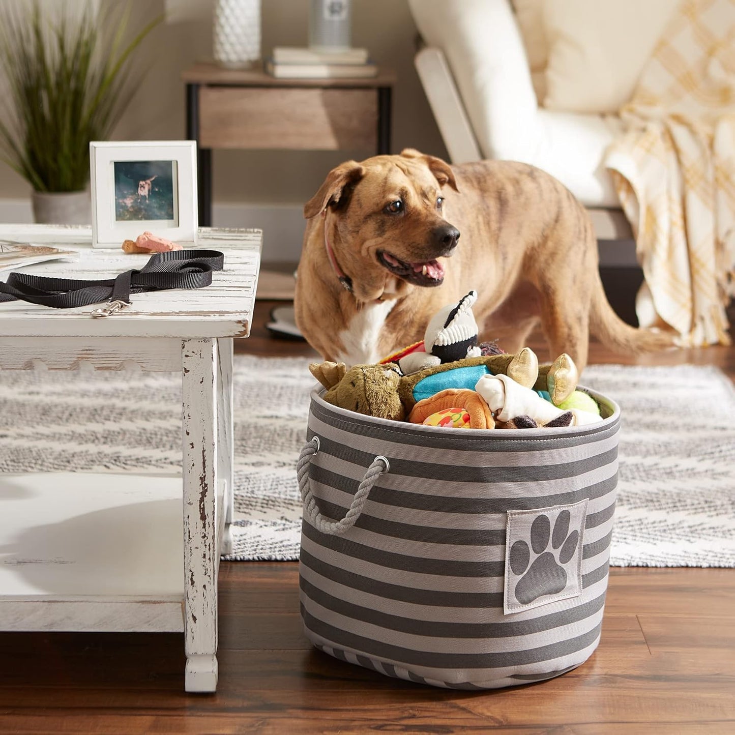 DII Bone Dry RoundSmall Pet Toy and Accessory Storage Bin, 12"(Dia) x9(H), Collapsible Organizer Storage Basket for Home Decor, Pet Toy, Blankets, Leashes and Food-Gray Stripes