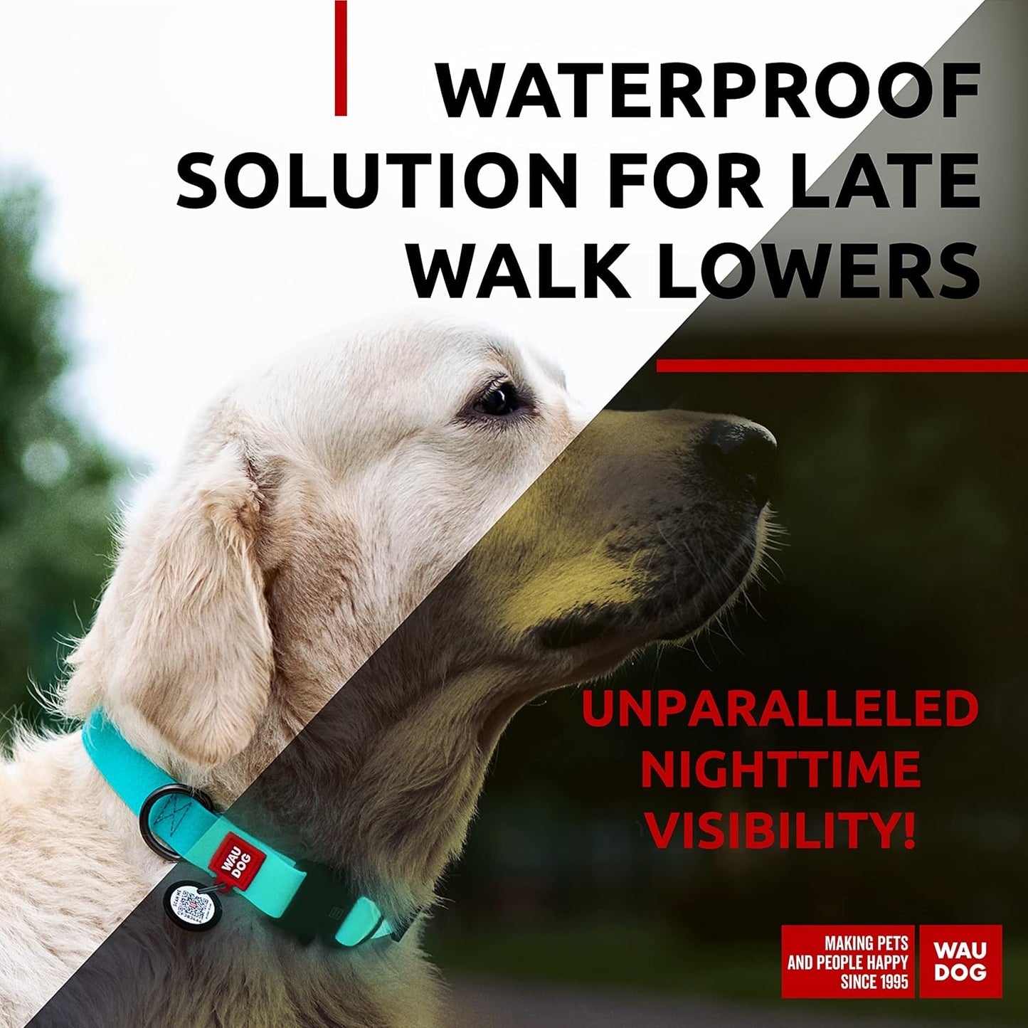 Waterproof Dog Collar - Adjustable Glow Dog Collar for Large Dogs, Small and Medium Dogs - Heavy Duty Dog Collars with Durable Metal Clasp and QR Dog Tag - Glow in The Dark Dog Collars