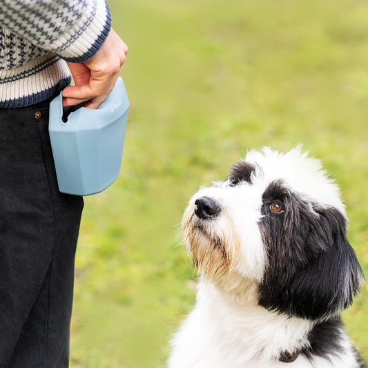 Navaris Silicone Dog Treat Pouches (Set of 2) - Dog Treat Pouch Holder Bag with Clip for Training, Treats, Leash - Polyhedron Design - Blue and Gray - PuriLite