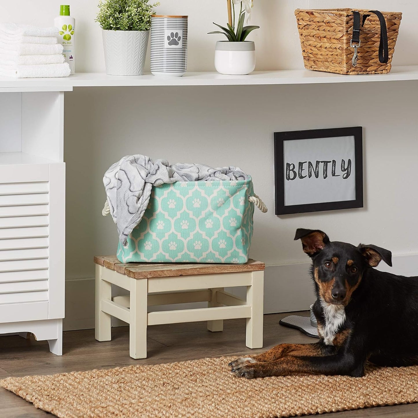 DII Bone Dry RoundSmall Pet Toy and Accessory Storage Bin, 12"(Dia) x9(H), Collapsible Organizer Storage Basket for Home Decor, Pet Toy, Blankets, Leashes and Food-Gray Stripes