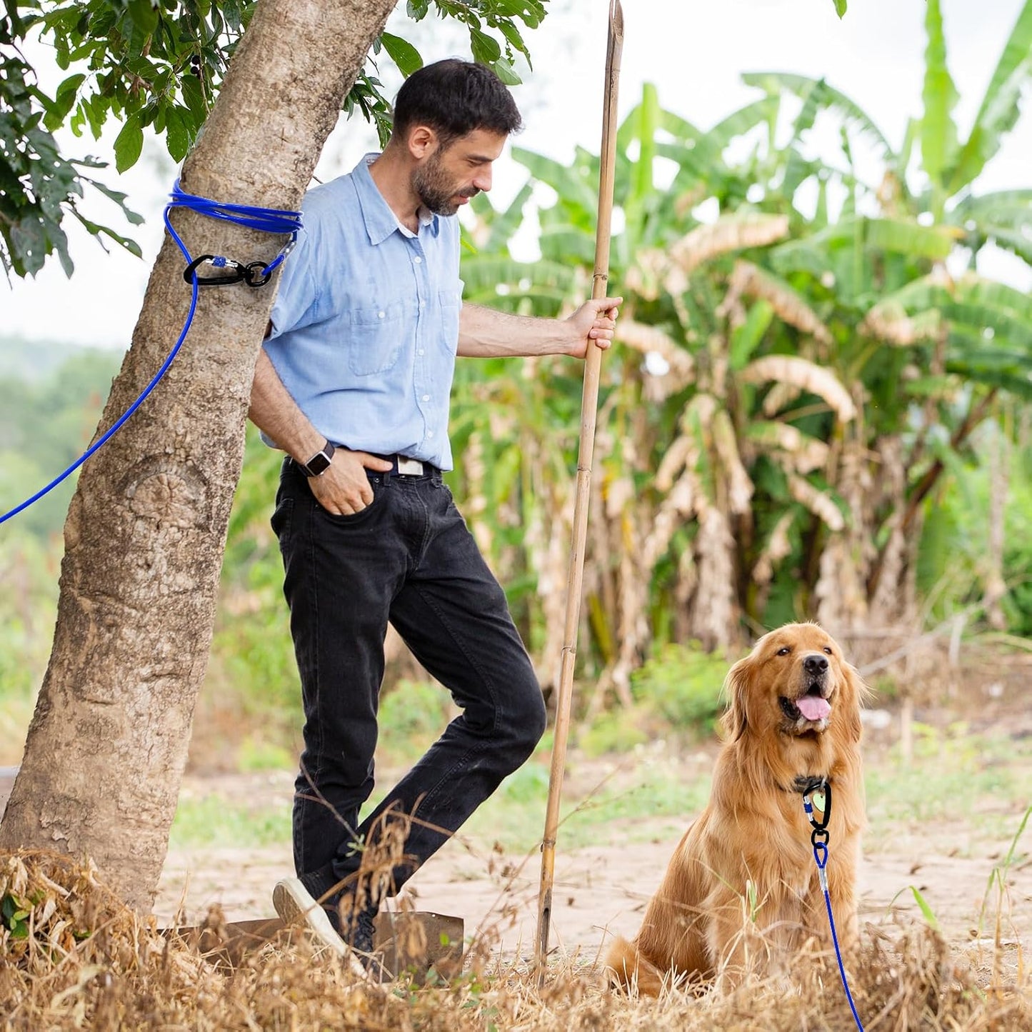 Furggis Dog Tie Out Cable,10/15/20/30/50FT Dog Run Cable for Yard and Camping Outdoor,Heavy Duty Dog Tether for Medium Large Dogs Chew Proof,1000lbs Break Strength,Reflective