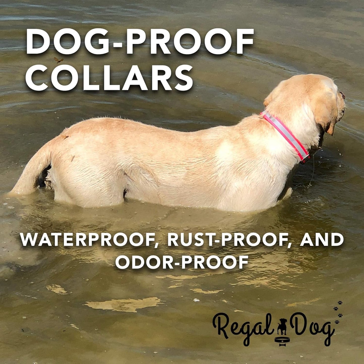 Regal Dog Products Large Pink Heavy Duty Reflective Dog Collar with Center Ring, Metal Buckle and D Ring | Anti-Odor Adjustable Biothane Waterproof Dog Collar | Other Sizes for Small & Medium Dogs
