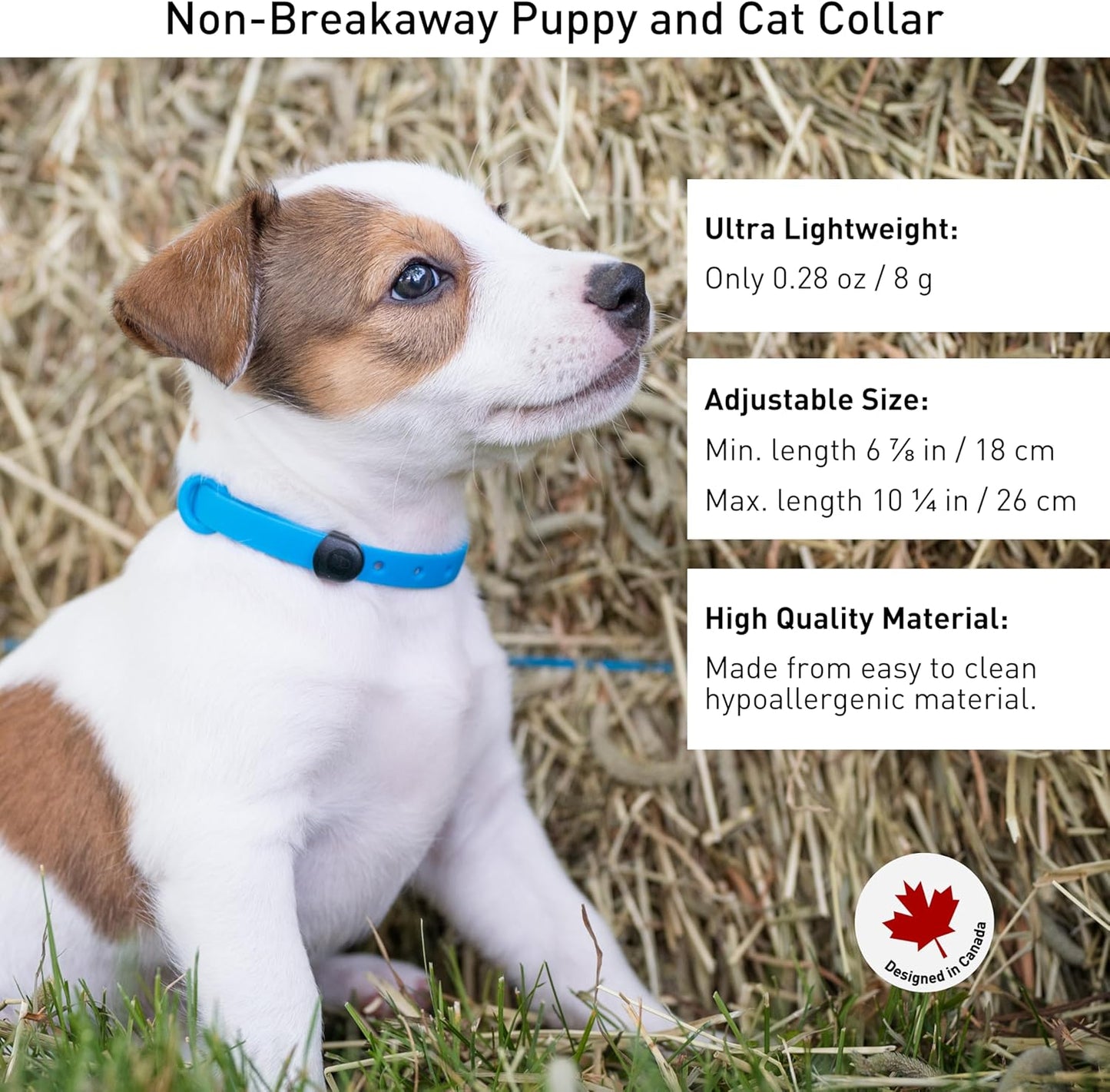 Waterproof Dog Collar - Durable, Comfortable and Adjustable Silicone Dog Collar with Wear Resistant Buckle and ID Tag Ring for Small Dogs by Nuvuq (Black, Small)