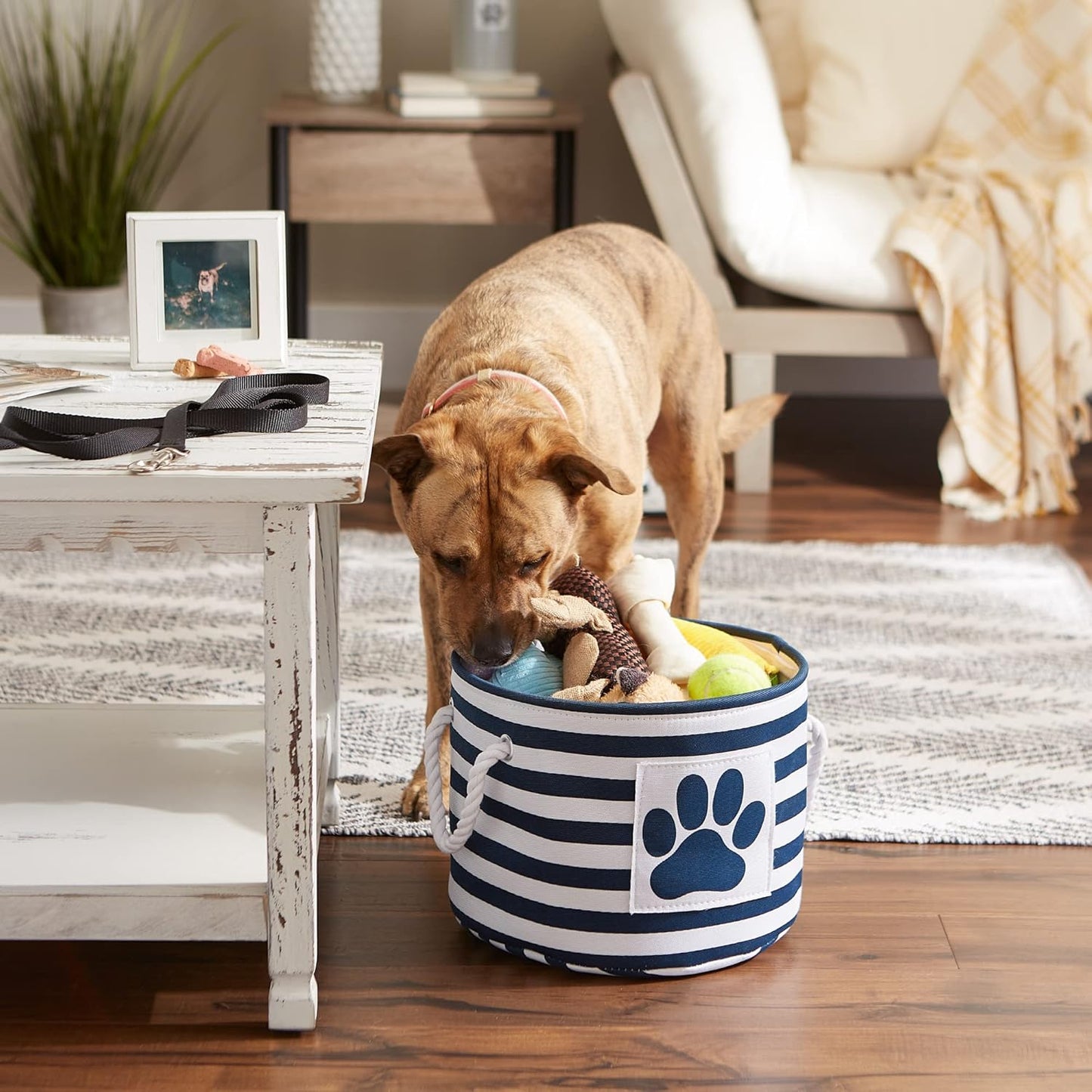 DII Bone Dry RoundSmall Pet Toy and Accessory Storage Bin, 12"(Dia) x9(H), Collapsible Organizer Storage Basket for Home Decor, Pet Toy, Blankets, Leashes and Food-Gray Stripes