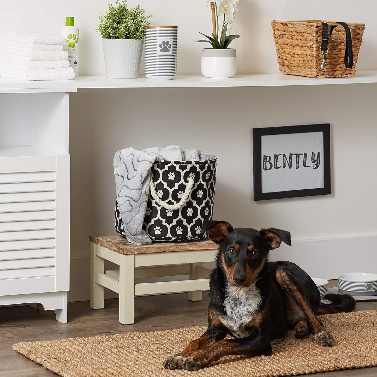 DII Bone Dry RoundSmall Pet Toy and Accessory Storage Bin, 12"(Dia) x9(H), Collapsible Organizer Storage Basket for Home Decor, Pet Toy, Blankets, Leashes and Food-Gray Stripes