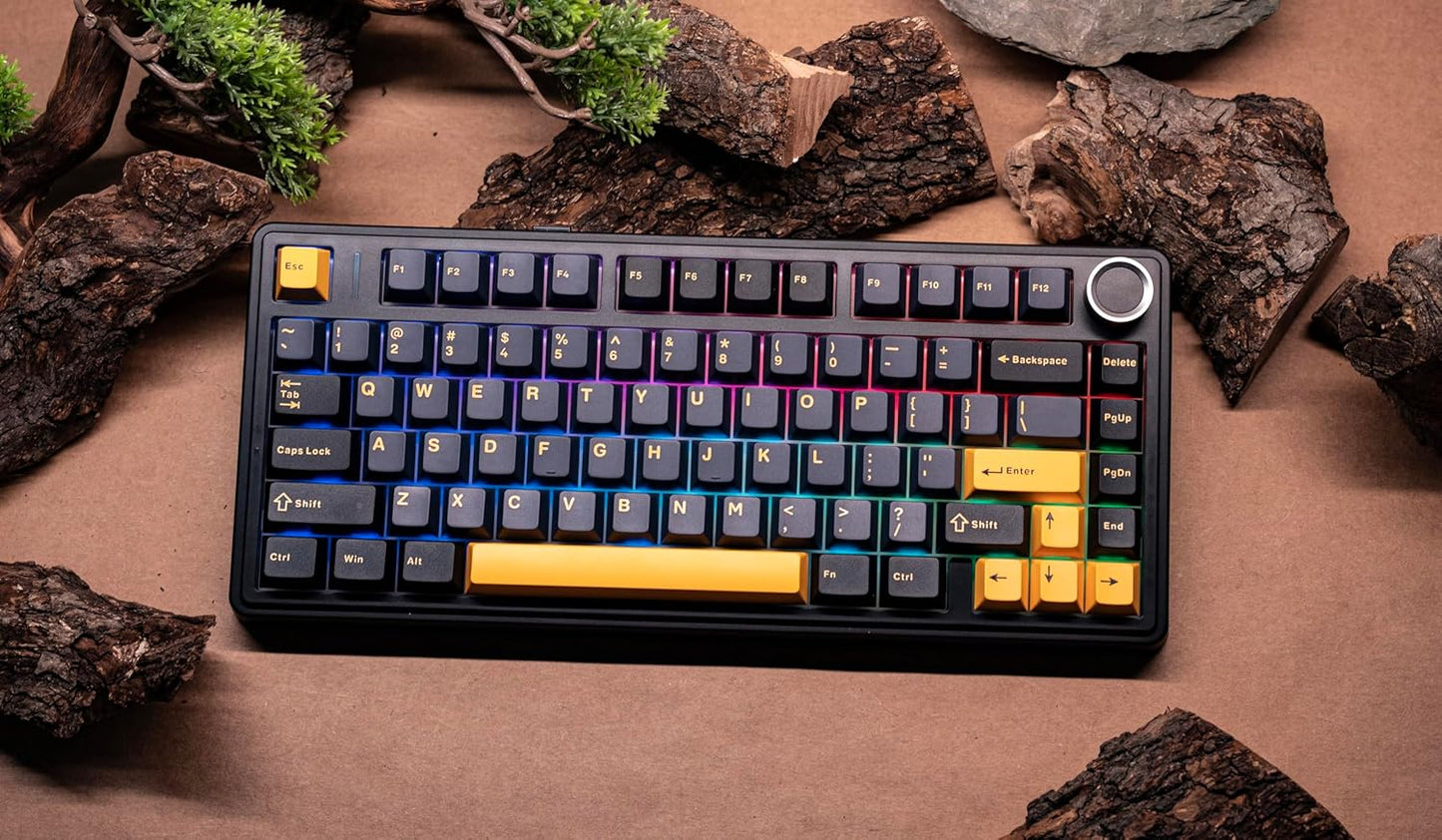 EPOMAKER x Aula F75 Gasket Mechanical Keyboard, 75% Wireless Hot Swappable Gaming Keyboard with Five-Layer Padding&Knob, Bluetooth/2.4GHz/USB-C, RGB (Black Gradient, LEOBOG Reaper Switch)