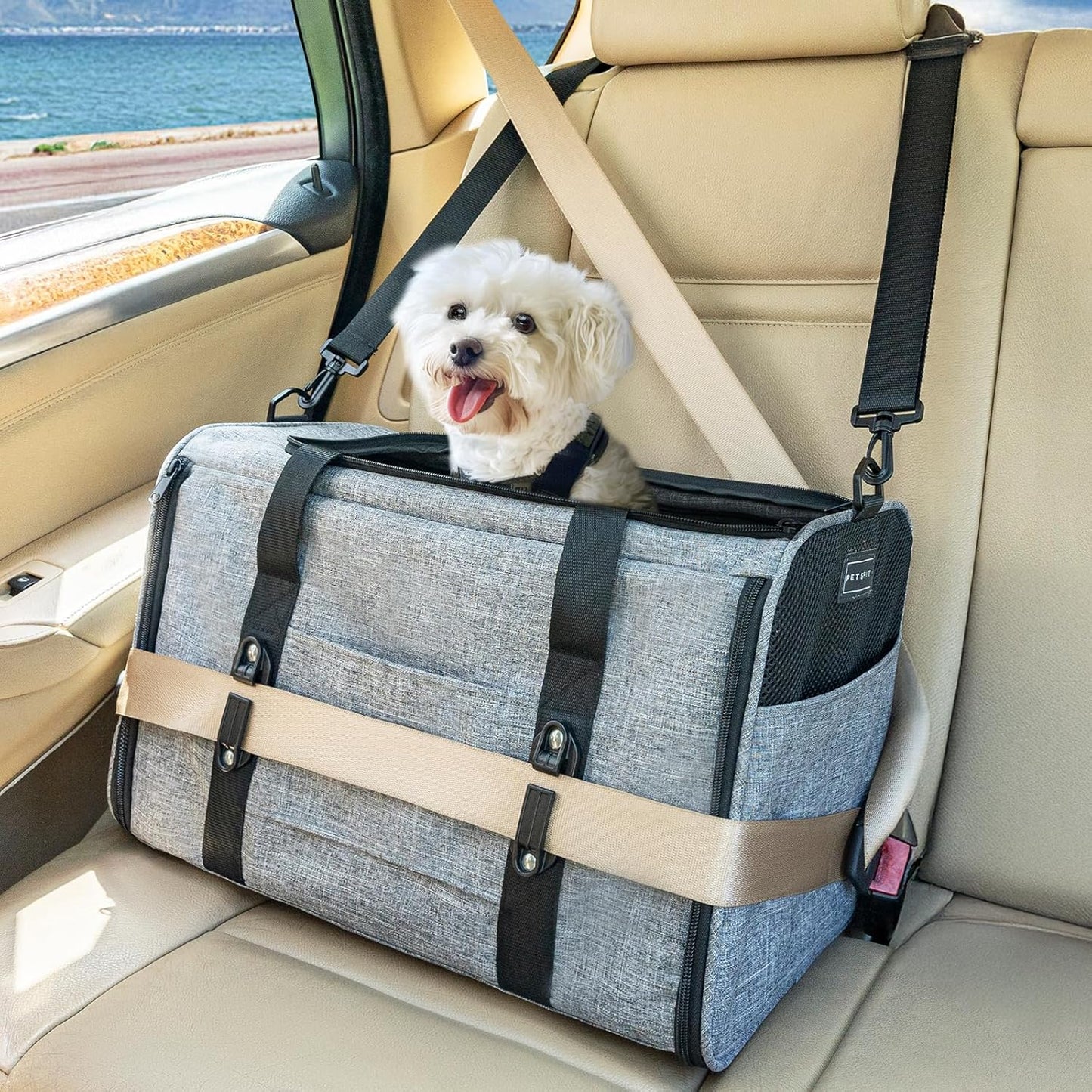 Petsfit Pet Carrier Airline Approved, Soft-Sided Cat Carrier with Patented Car Buckle, Lightweight and Collapsible with Adjustable Shoulder Strap, Soft Cushion,Green