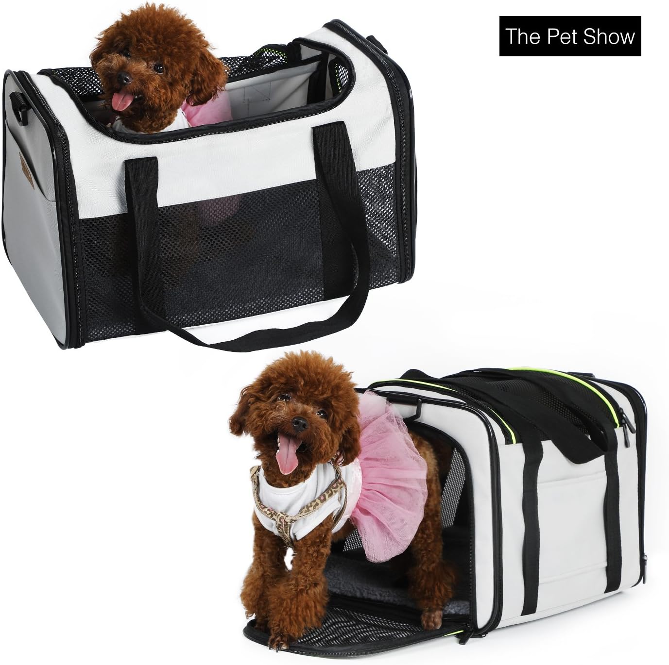 Akinerri Airline Approved Pet Carriers,Soft Sided Collapsible Pet Travel Carrier for Medium Puppy and Cats (Medium, Blue)