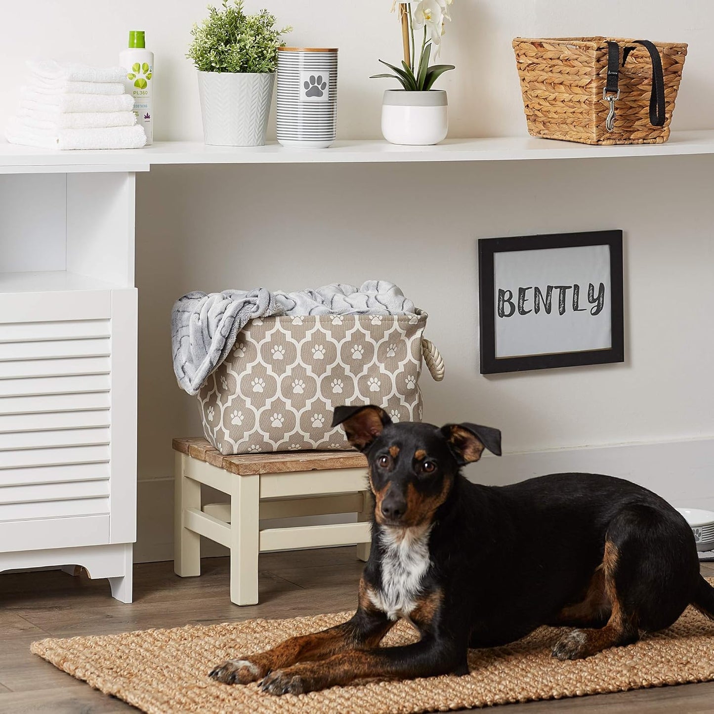 DII Bone Dry RoundSmall Pet Toy and Accessory Storage Bin, 12"(Dia) x9(H), Collapsible Organizer Storage Basket for Home Decor, Pet Toy, Blankets, Leashes and Food-Gray Stripes