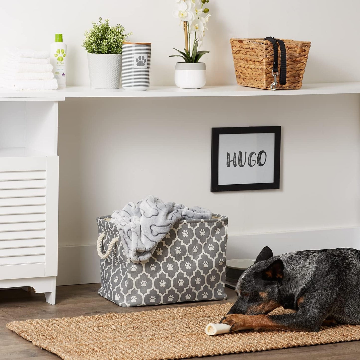 DII Bone Dry RoundSmall Pet Toy and Accessory Storage Bin, 12"(Dia) x9(H), Collapsible Organizer Storage Basket for Home Decor, Pet Toy, Blankets, Leashes and Food-Gray Stripes