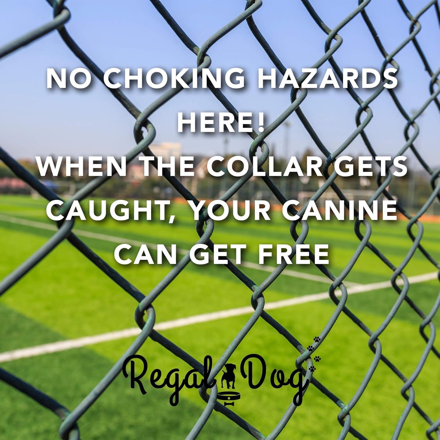 Regal Dog Products Large Pink Heavy Duty Reflective Dog Collar with Center Ring, Metal Buckle and D Ring | Anti-Odor Adjustable Biothane Waterproof Dog Collar | Other Sizes for Small & Medium Dogs