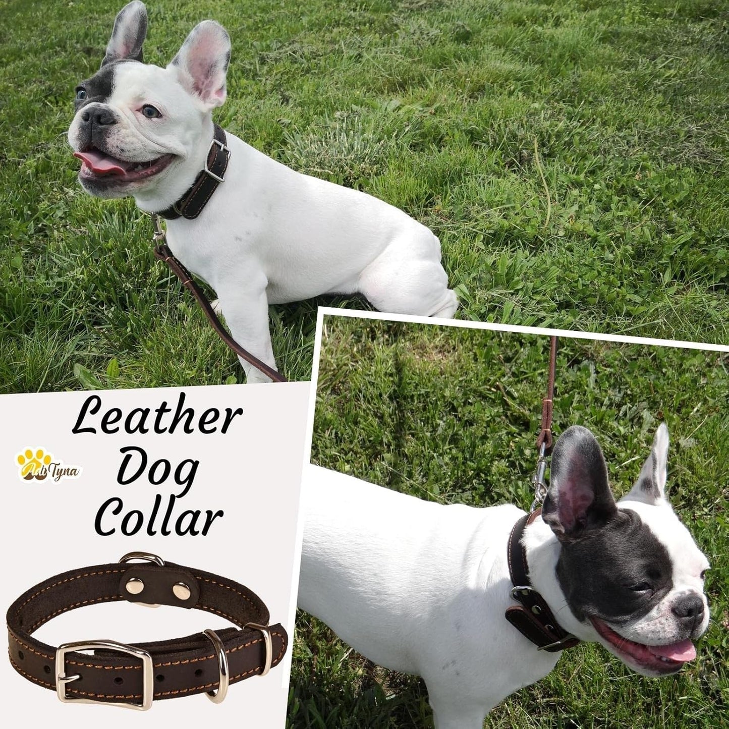 ADITYNA Heavy-Duty Leather Dog Collar for Medium Dogs - Soft and Strong, 100% Genuine Leather - Collier Pour Chien (Medium: Fit 13" - 20" Neck, Brown)