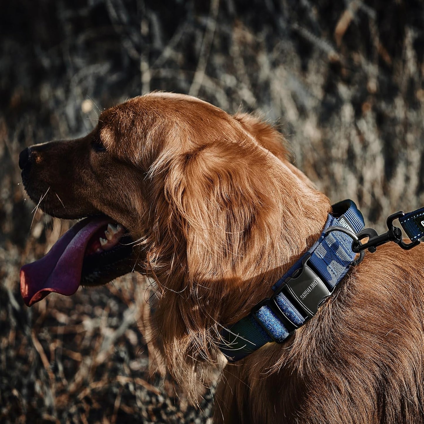 OneTigris Tactical Dog Collars with Handle,Military Dog Collar for Large Dog,Adjustable Nylon Collar German Shepherd Collar with Heavy Duty Metal Buckle for Dog Training and Walking (M, Orange)
