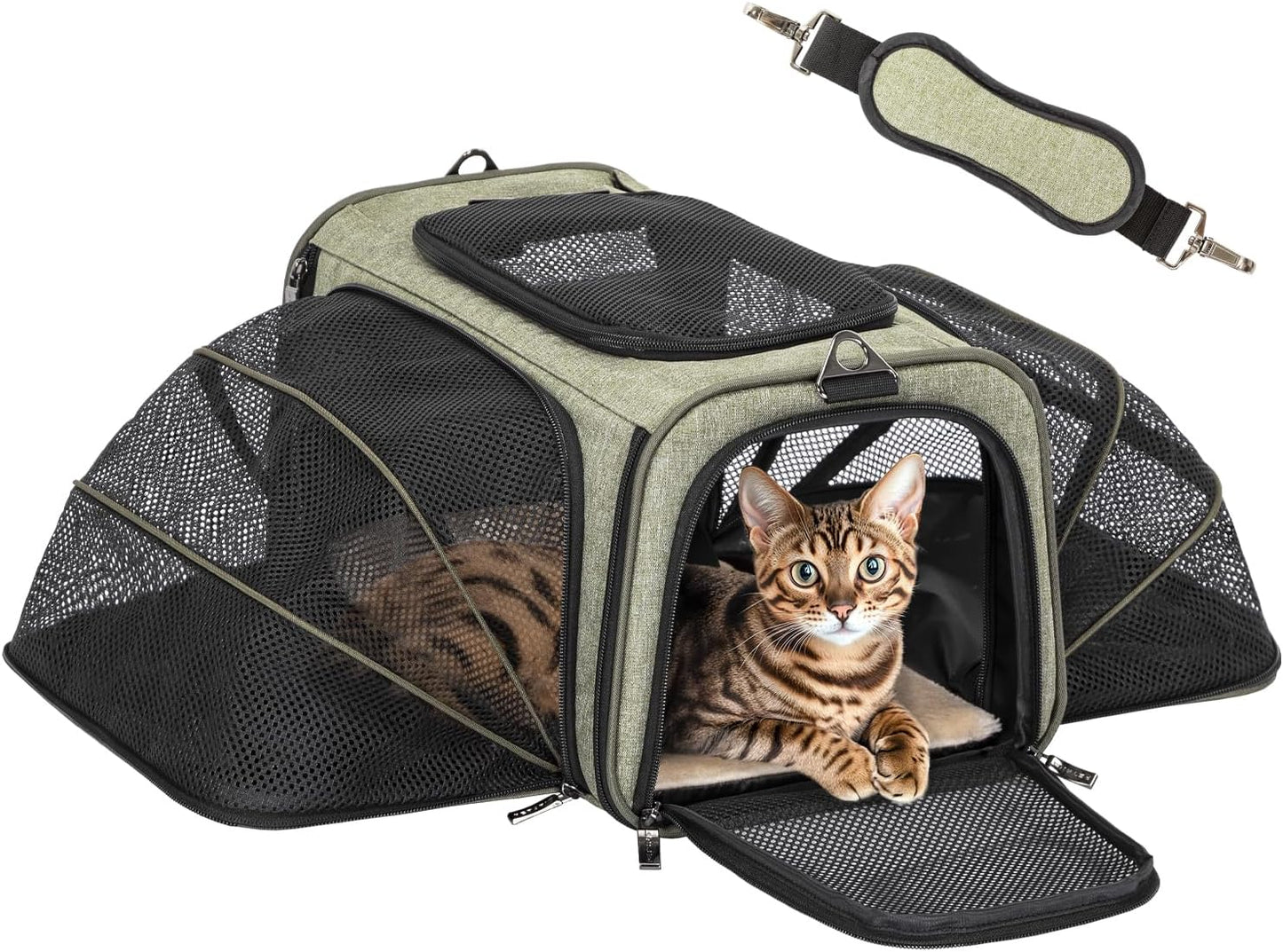 Petsfit Expandable Cat Dog Carrier Airline Approved, 17" L x 11" W x 11" H Soft-Sided Portable Pet Travel Carrier for Kitten, Puppy, Removable Soft Plush Mat and Pockets, Auto-Locking Zippers