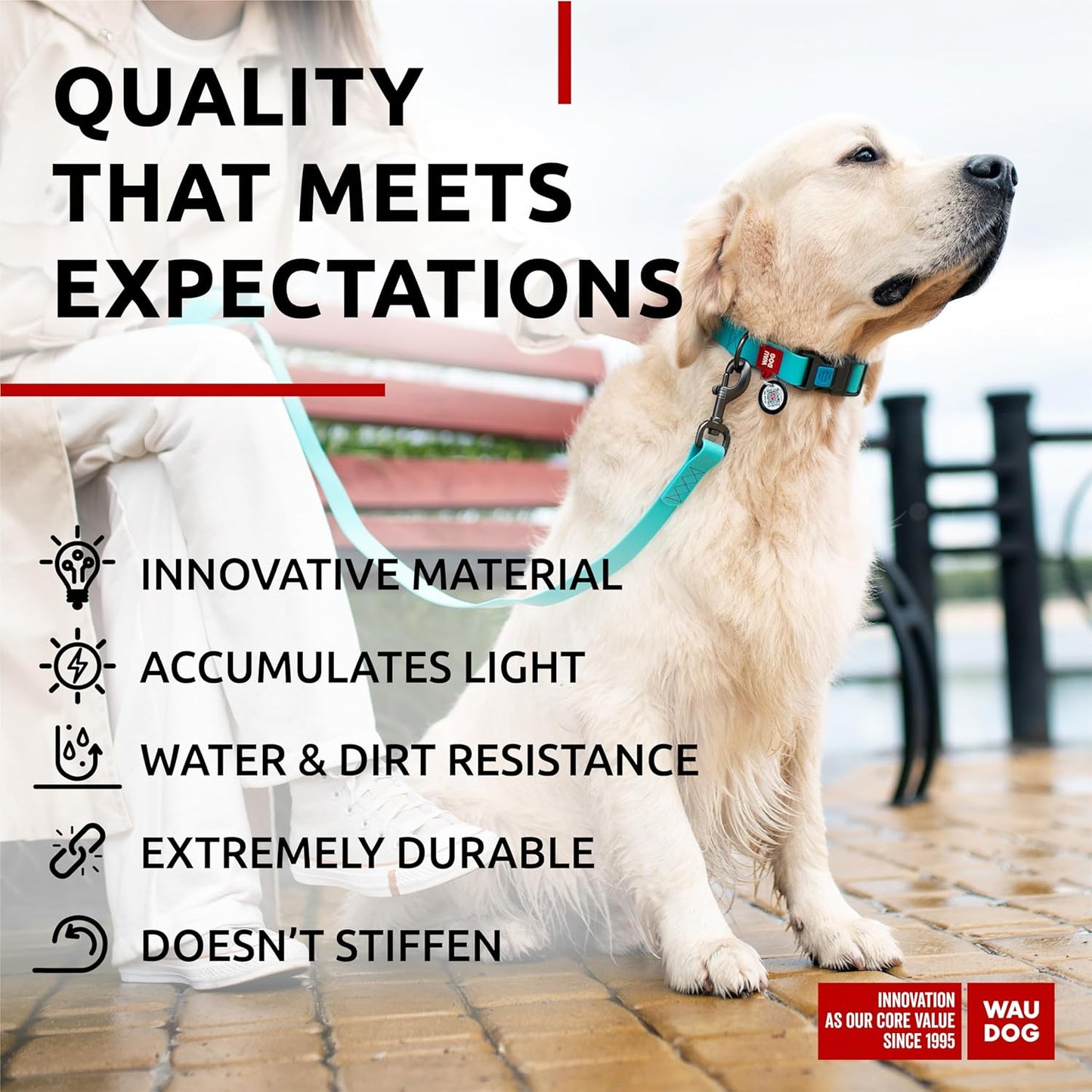 Waterproof Dog Collar - Adjustable Glow Dog Collar for Large Dogs, Small and Medium Dogs - Heavy Duty Dog Collars with Durable Metal Clasp and QR Dog Tag - Glow in The Dark Dog Collars