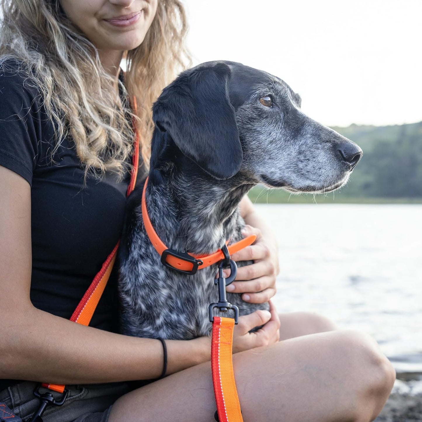 Waterproof Dog Collar - Durable, Comfortable and Adjustable Silicone Dog Collar with Wear Resistant Buckle and ID Tag Ring for Small Dogs by Nuvuq (Black, Small)