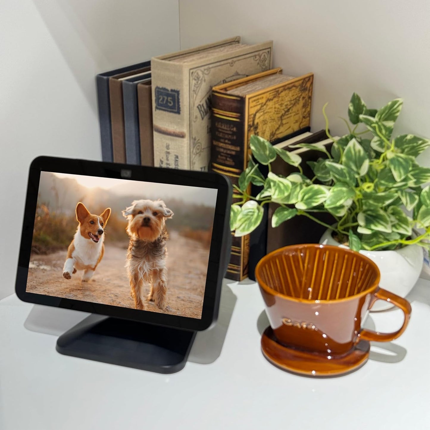 Sintron Adjustable Magnetic Stand Mount for Echo Show 5 (3rd Gen) & iPhone Models, Smart Display Stand Holder for Show 5 3rd Gen with 360 Degree Rotation, Swivel Tilt Function, Anti-Slip Base (Black)