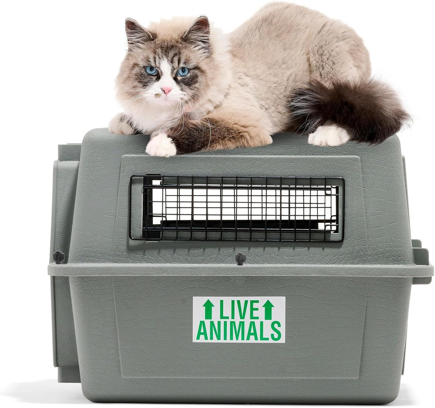 Petmate 00200 Sky Kennel for Pets from 25 to 30-Pound, Light Gray