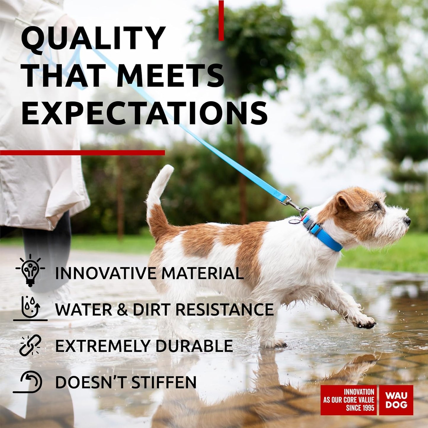 Waterproof Dog Collar - Adjustable Glow Dog Collar for Large Dogs, Small and Medium Dogs - Heavy Duty Dog Collars with Durable Metal Clasp and QR Dog Tag - Glow in The Dark Dog Collars